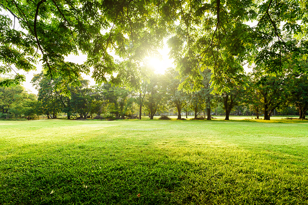 Mount Hope - 5-acre Park