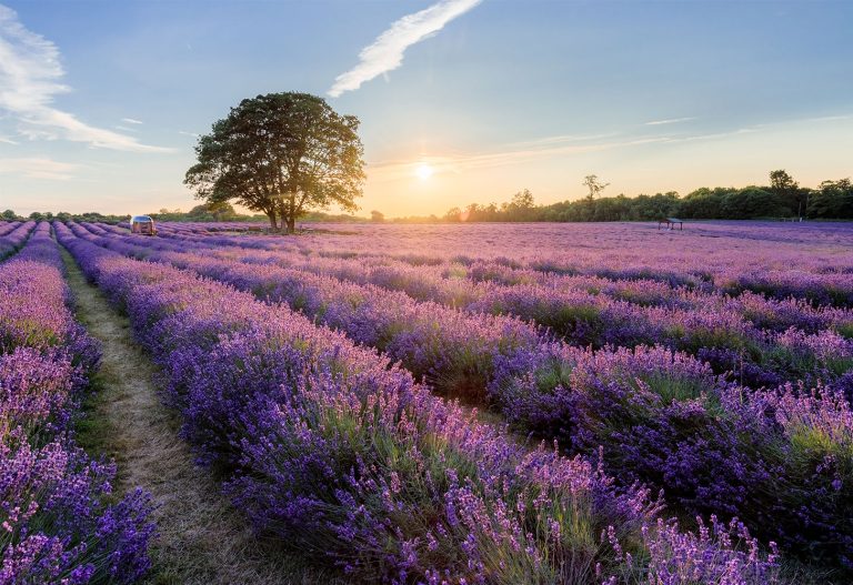 4 Reasons You'll Want to Call Ayr, Ontario Home Cachet Homes